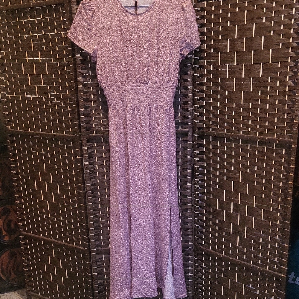 Wilfred Elegant Pink Women's Dress